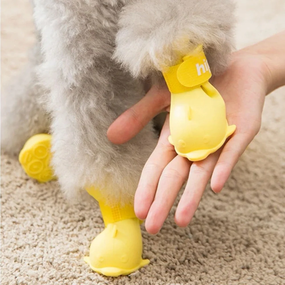Dog Rain Boots ☔️🌧️🐶🐕NWOT